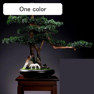 tFCNO[  CeAO[ ͂ȂO[ Ηt u  A lHϗtA { ϗtA lHt bsv ͂Ȃ /O z[K[f