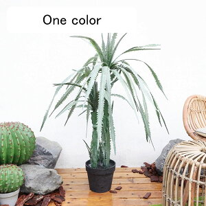 tFCNO[ A Mъϗt A lHϗtA CeAO[ ^ { lHA ϗt lHt ͂Ȃ sv CeA x_ K[f