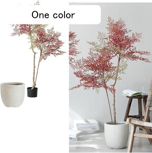 tFCNO[ ie CeAO[ ^Ηt A lHϗtA { lHA ϗt lHt x_ bsv ͂Ȃ /O z[K[f