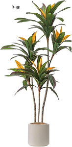 tFCNO[  hZi lHϗtA CeAO[ A { ͂ȂO[ ^Ηt ϗtA lHt ͂Ȃ  _ k   