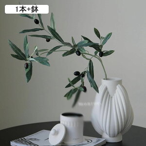 lHϗtA I[u C[ t[AWg A { 픫 CeAO[ tFCNO[ bsv ϗtA  뉀 iX K[f