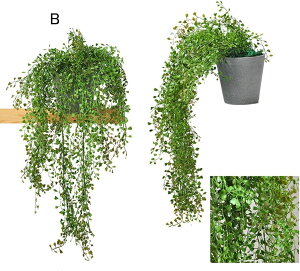 tFCNO[ ݂艺 ͂ȂO[ ݂ CeAO[ Ηt A lHϗtA { ϗtA lHA ͂Ȃ sv A ԉ fR[V