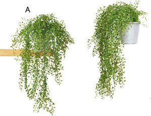 tFCNO[ ݂艺 ͂ȂO[ ݂ CeAO[ Ηt A lHϗtA { ϗtA lHA ͂Ȃ sv A ԉ fR[V