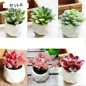 tFCNO[ A A lHϗtA CeAO[ lHt Ηt { ϗtA ͂Ȃ sv CeA CeA EFfBO x_