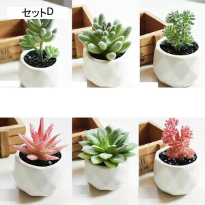 tFCNO[ A A lHϗtA CeAO[ lHt Ηt { ϗtA ͂Ȃ sv CeA CeA EFfBO x_