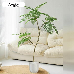 lHϗtA AJV A { CeAO[ tFCNO[ ^ Q쏜sv ͂ȂO[ lHA ϗt ϗtA CeA EFfBO x