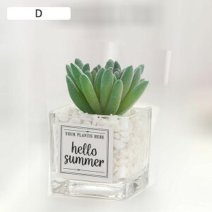 lHϗtA A A { CeAO[ tFCNO[ Q쏜sv k _ Vv ItBX ins ϗtA K[f   p  i`