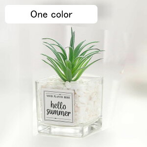 lHϗtA A A { CeAO[ tFCNO[ Q쏜sv k _ Vv ItBX ins ϗtA K[f   p  i`