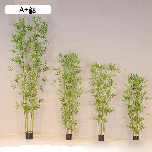 tFCNO[ | CeAO[ ^Ηt A lHϗtA { lHA ϗt lHt bsv ͂ȂO[ j A ԉ fR[V