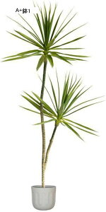 lHϗtA A ϗt { CeAO[ tFCNO[ k ins ԕrt ^ ȒPb炸 lHt lHA ̓ hV̓ j NX}X