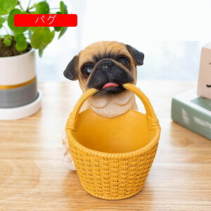 ̒u uh[ pO 킢 [ ֎[ u CeAG [  @\[ R/LfB[ȂǏ[ CeA  ʔ Vv a