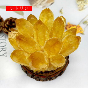  NX^̃NX^  Vg VR u t i  J^  J^ObY VR CeA p[Xg[ ACe ItBX v[g 蕨 1kg