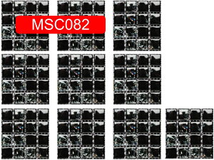 ^CV[ UCN^CV[ 10*10cm*10 ͂ ̃V[ h hɂD DIY ȒP\t C CNV[g CeAV[g Ǐ n ʏ  䏊 