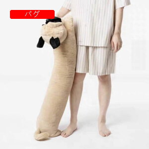  ʂ Jo ]E e  NbV   ӂӂ ӂ G  C D YQ܂ Q Mtg v[g xbh[ ˂ނ