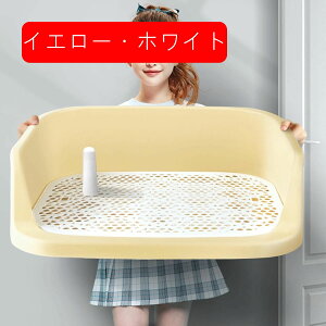 gCg[ ǃv[gt ybgpgC bVJo[ h~ A XebvǕtgC юUɂ tȒP 􂢉 ybggC g[jO  PP ֊