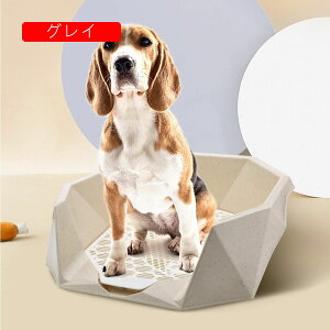 �g�C���g���[ ���g�C���g���[ ���b�V�� ���C�h ������ 2�w �ׂ������b�V�� �͂� ���g�C�� ����ی삵������������ �� ���t�� �X�e�b�v�Ǖt�g�C�� ��юU��ɂ��� �y�b�g�g�C���g���[ �N���A