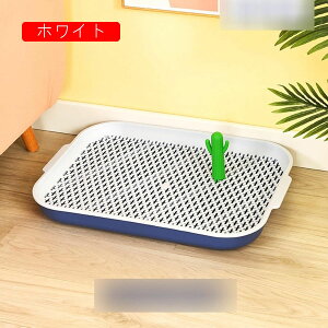 pgCg[ g[jOpbh bVJo[ ȒPɑ| 2w }[LOt   ȒPɑ| ߂܂ vX`bN gCg[ ֊