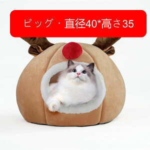 h[^ ybgxbh g̃fUC NX}Xg ̊p NbVt ɂn  Lpxbh q^̃nEX _炩 薰 xe uE