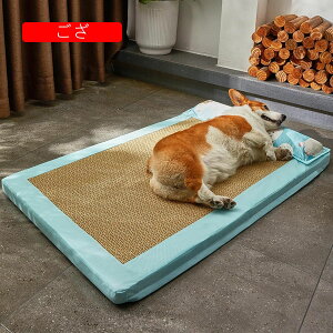  xbh  L xbh  ėp ybgxbh ybgp NbV ⊴ ybg}bg ΍ ^p SޔLp ɂn p _炩 薰 ybg