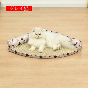  xbh L xbh  ybgxbh t ʋC N[  ` ybgNbV Q ɂn  ȒP  L̓Axbh xe ΍ ^L 