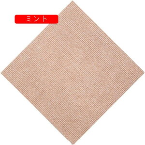 ^CJ[ybg J[ybg^C z WCg}bg /ƒ/Ɩp hۉ Jbg\ h~ |NN ȒP t[Ogp 10g 4mm tA^C ی