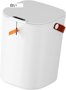 [VS~X}[gS~20L^b`XRh~S~ƒAoX[ALb`p 