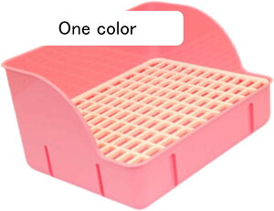 P[Ŵ݃pp̃ETM̂ݔAgCxbhpybggCbgR[i[A sN