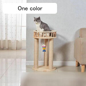 L L^[ ߂Ƃ Lbg^[ 50cm VRTCU  ؐ ܌ ߂Ƃ |[ L̂t Q^[ ȒPgݗ ˂̂ 낵W] ]|h~ 