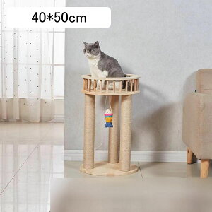 L L^[ ߂Ƃ Lbg^[ 50cm VRTCU  ؐ ܌ ߂Ƃ |[ L̂t Q^[ ȒPgݗ ˂̂ 낵W] ]|h~ 