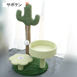 L܂Ƃ|[ Lbg|[ L ܂Ƃ ܌ L p LnEX ܂Ƃ|[ VRTCU L܂Ƃ     ܂Ƃ|[ 킢 ȃXy[X ^s