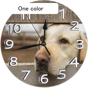 �|�����v �Ǌ|�����v ���u���h�[�� ���g���o�[ �ʐ^ ������� �v���[���g �����̑��� �u�����v �A���b�j �L�b�`�� �É� �t���[�����X ��d�g�p �z�[�� �C���e���A