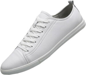 U[ vC ̌C Y Xj[J[ XP[g{[hV[Y ^ Y fbLV[Y [JbgXj[J[ [XAbv EhgD y ʋ ʊw wZ d rWlX JW