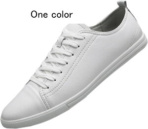 U[ vC ̌C Y Xj[J[ XP[g{[hV[Y ^ Y fbLV[Y [JbgXj[J[ [XAbv EhgD y ʋ ʊw wZ d rWlX JW