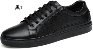 JWAV[Y Xj[J[ XP[g{[hV[Y Y EH[LO ʋC U[ [Jbg rWlX JWA Ȑ h h ʊw 傫TCY t ʋC K 