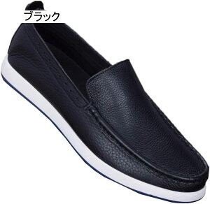 hCrOV[Y {vU[ JV [t@[ Xb| Y JV V[Y JWAV[Y fbLV[Y v ^]C hCrO 傫ȃTCY t  H ~ 