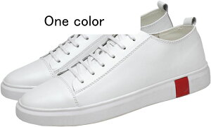 ̌C Y JWAV[Y Xj[J[ fbLV[Y YV[Y I[V[Y ǰC EH[LOV[Y tbg vC  y 26.5cm Ȃ ɂ 