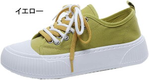  [XAbv Xj[J[ fB[X [Jbg LoXV[Y JWA 4cmgAbv C ʋC 傫TCY y [t@[  ʊw RtH[gV[Y ~