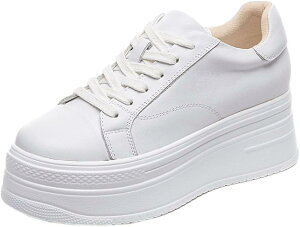 Cq[Xj[J[ fB[X Xj[J[ JWAV[Y  r V[NbgV[Y V[Y [XAbv 7cm q[Abv y gAbv wlC [t@