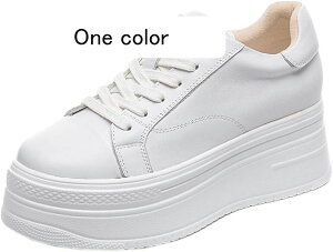 Cq[Xj[J[ fB[X Xj[J[ JWAV[Y  r V[NbgV[Y V[Y [XAbv 7cm q[Abv y gAbv wlC [t@