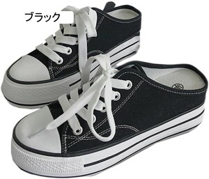 Xb| Xj[J[ Ɩ fB[X LoX n r  ~[ T{T_ ₷ Ȃ K NbV y ʊw ʋ d  Xb| 