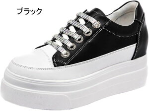 Xj[J[ V[NbgV[Y Xj[J[ Cq[ vbgtH[ rW[ fB[X   n [XAbv gAbv tďH~ y JWAV[Y [Jbg V