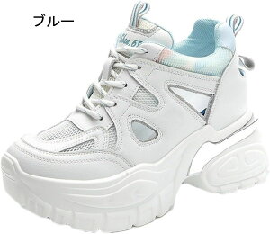 Xj[J[ fB[X Xj[J[ _bhXj[J[ X|[c jOV[Y EH[LOV[Y ^ ʋC JWA r y gAbv ʋ Ȃ ʊw 11cm UP C