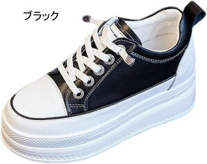 Xj[J[ fB[X Cq[Xj[J[ EH[LOV[Y r V[NbgV[Y y [XAbv C 9cm q[Abv ɂ gAbv Xj[J[ _bh