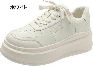 Xj[J[ _bhXj[J[ fB[X 5cm [Jbg [XAbv r JWA Xj[J[ ₷  [t@[  n 傫TCY l y ₷ E