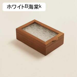 WG[{bNX ANZT[P[X ^ P[X ؐ w GKg sAX Vt r[Y LXƂ  ̎q hbT[op CeA  a ̓Mtg