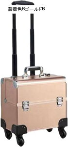 v [{bNX CN e CNP[X LX^[t 2w ЊJ ^ L[ d؂t O Δ lC[ G̋ gѕ֗ RXeBbNP[X o sp 