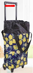 X[cP[X L[J[g F VbsOJ[g VbsOobO AEghAp y  É RpNg GRobO ƒp ȒPg  ^ Lvp spi 艟 