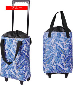 X[cP[X L[J[g F VbsOJ[g VbsOobO AEghAp y  É RpNg GRobO ƒp ȒPg  ^ Lvp spi 艟 