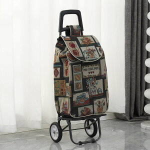 ショッピングカート 折り畳み式 エコバッグ 買い物 アウトドア おしゃれ 可愛い シンプル コンパクト 軽量 キャンプ 運動 防災 買い物キャリー タイプ09 F 折りたたみ 2輪 キャスター付き 買