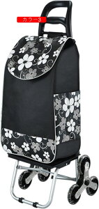 KiL[J[g e y F VbsOL[ VbsOJ[g J[g 6 J[5 ܂ݎ RpNg H L[J[g y   ₷ N